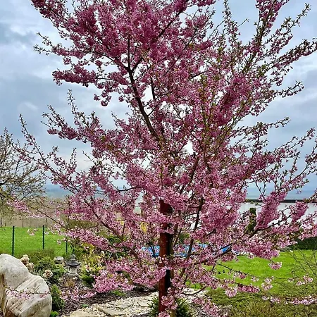 Maison d'hôtes Rogallo