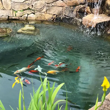 Rogallo Maison d'hôtes 3*